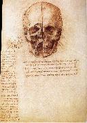 Anatomy of the Schadels LEONARDO da Vinci